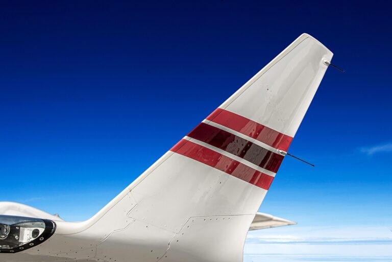20239_winglet